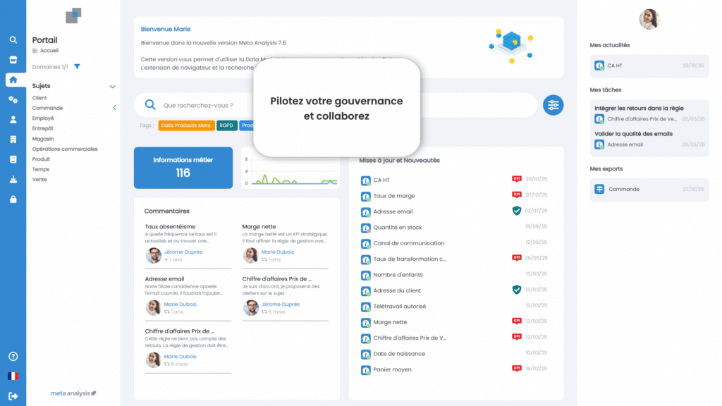 Portail-accueil-Meta-Analysis